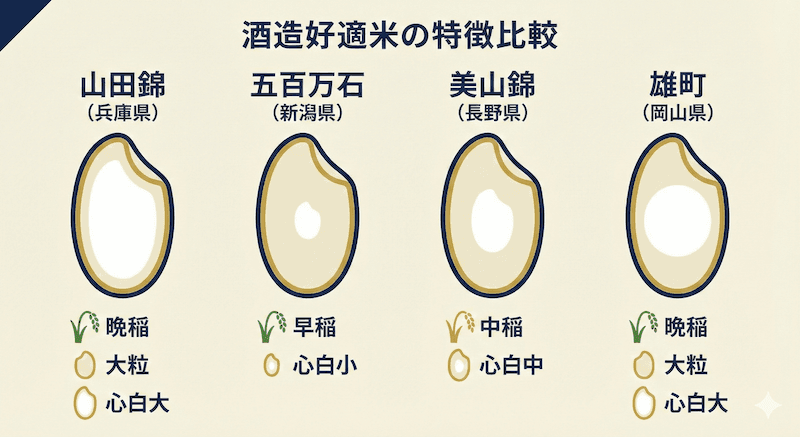 主要酒造好適米の比較:山田錦(兵庫)・五百万石(新潟)・美山錦(長野)・雄町(岡山)の産地・特性を一覧比較