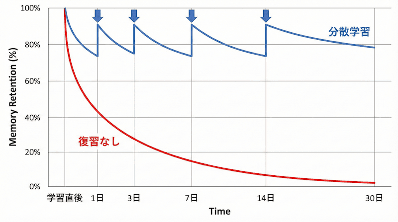 エビングハウスの忘却曲線と分散学習の効果。復習なしでは記憶が急速に低下するが、適切なタイミングで復習を挟むと記憶の定着率が大幅に向上する